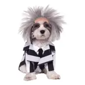 Beetlejuice Hund Maskeraddräkt - Large