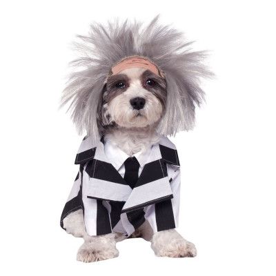 Beetlejuice Hund Maskeraddräkt - X-Large