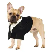 Brudgum Maskeraddräkt för Hund - Small