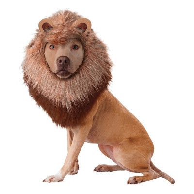 Djungelns Konung Hund Maskeraddräkt - Large