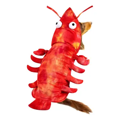 Hummer Maskeraddräkt för Hund - One size