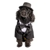Kostym Hund Maskeraddräkt - Medium