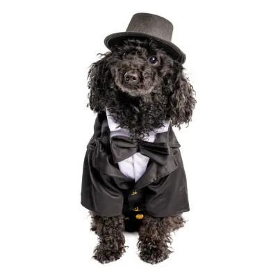 Kostym Hund Maskeraddräkt - Medium