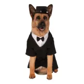 Kostym Hund XL Maskeraddräkt - XX-Large