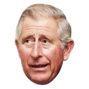 Prins Charles Pappmask