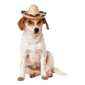 Sombrero för Hundar - Medium/Large