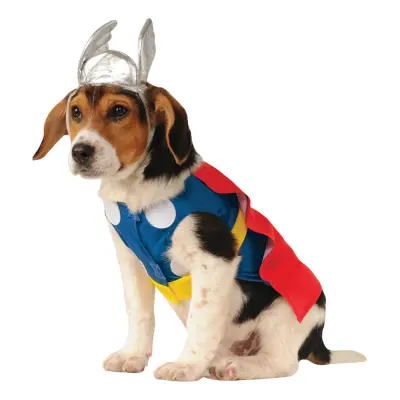 Thor Hund Maskeraddräkt - Medium