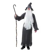 Trollkarl Budget Maskeraddräkt - One size