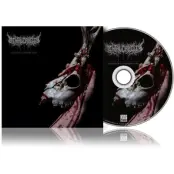 Mental Cruelty CD - Echoes of a forlorn Land - för  -