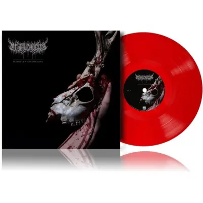 Mental Cruelty LP - Echoes of a forlorn Land - för  -