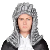 Domare Grå Peruk - One size