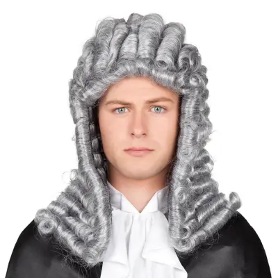 Domare Grå Peruk - One size