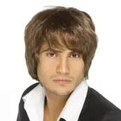 Pojkband Brun Peruk - One size