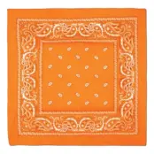 Bandana Orange
