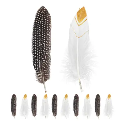 Indianfjädrar - 12-pack