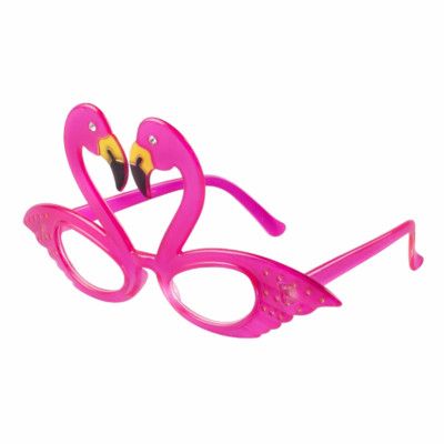 Glasögon Flamingo Rosa