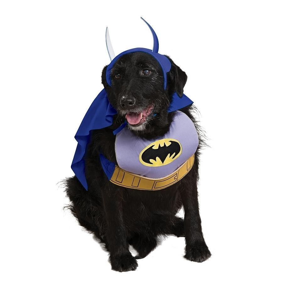 Batman Maskeraddräkt Hund Maskeradkläderbutiken