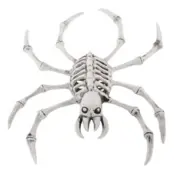 Skelett Spindel