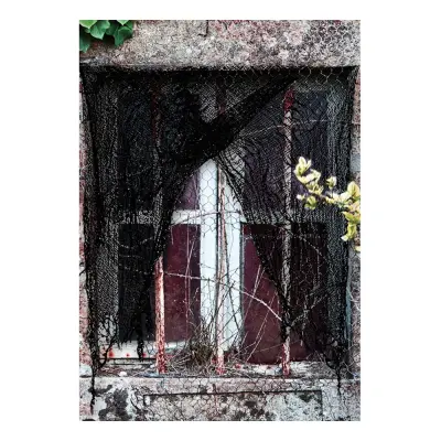 Dekorationsnät Svart Halloween