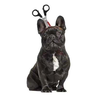 Halloween Props för Hund - Sax