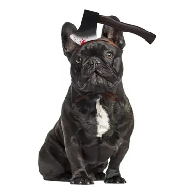 Halloween Props för Hund - Yxa