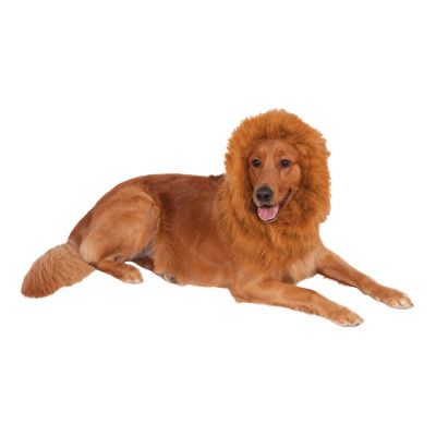 Lejonman för Hundar - One size