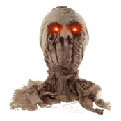 Mumiehuvud med Blinkande Ögon