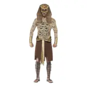 Zombie Farao Maskeraddräkt - Medium