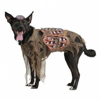 Zombie Hund Maskeraddräkt