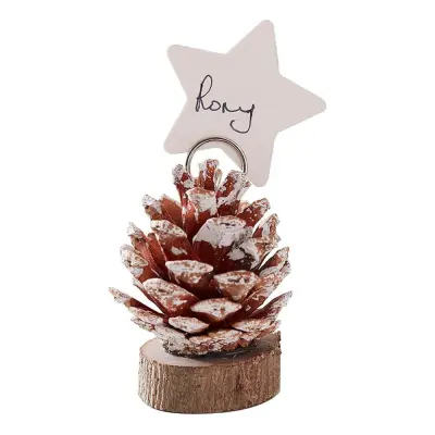 Placeringskortshållare Snötäckt Kotte - 6-pack