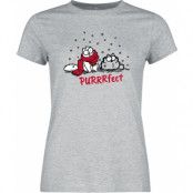 Simon's Cat T-shirt - Purrrfect - S 3XL - för Dam - gråmelerad