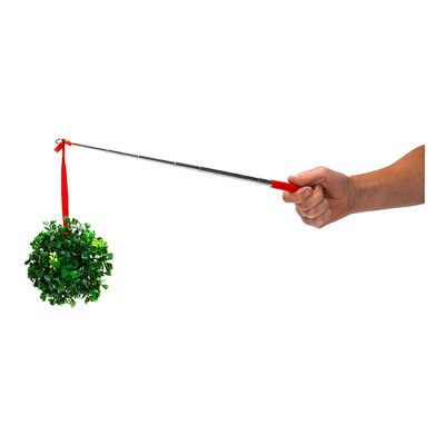 Teleskopisk Mistel