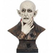 The Count Dracula Byst 40 cm