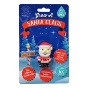 Odla en Tomte