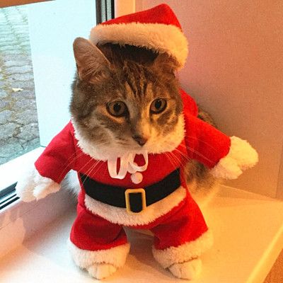 Tomtedräkt för Katt/Hund - One size