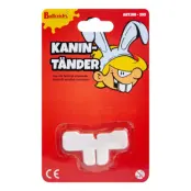 Kanintänder
