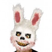 Mask, killer kanin
