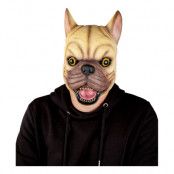 Fransk Bulldog Latexmask - One size