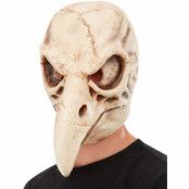 Mask, skelett fågel
