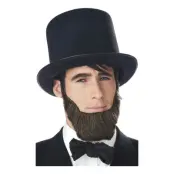 Abraham Lincoln Skägg