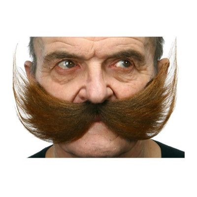 Jättemustasch Brun