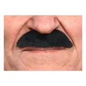 Mustasch Buskig Svart