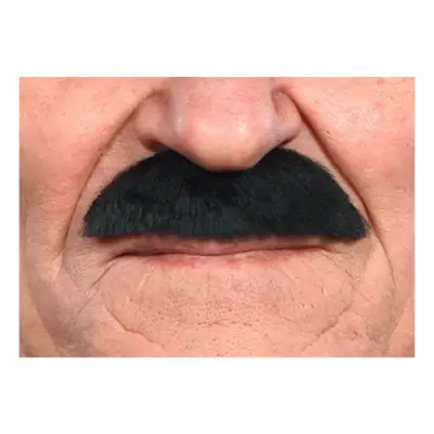 Mustasch Buskig Svart