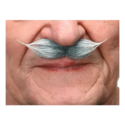 Mustasch Gentlemen Grå