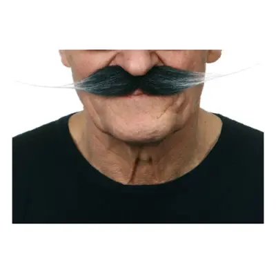 Mustasch Vaxad Gråsprängd