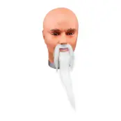 Trollkarlsskägg och Mustasch Vit - One size