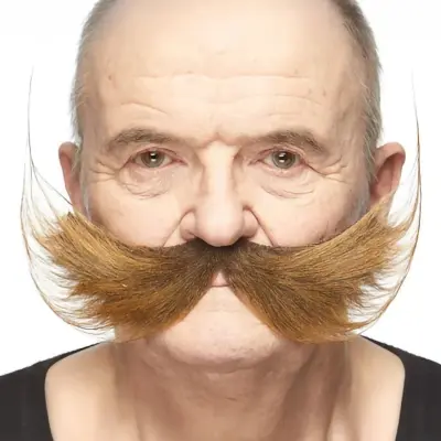 Uppfinnare Mustasch Brun