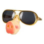 Glasögon med Grisnäsa