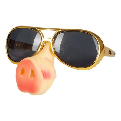 Glasögon med Grisnäsa