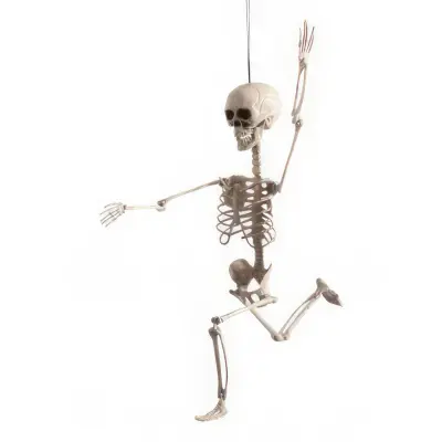 Böjbart Skelett Hängande